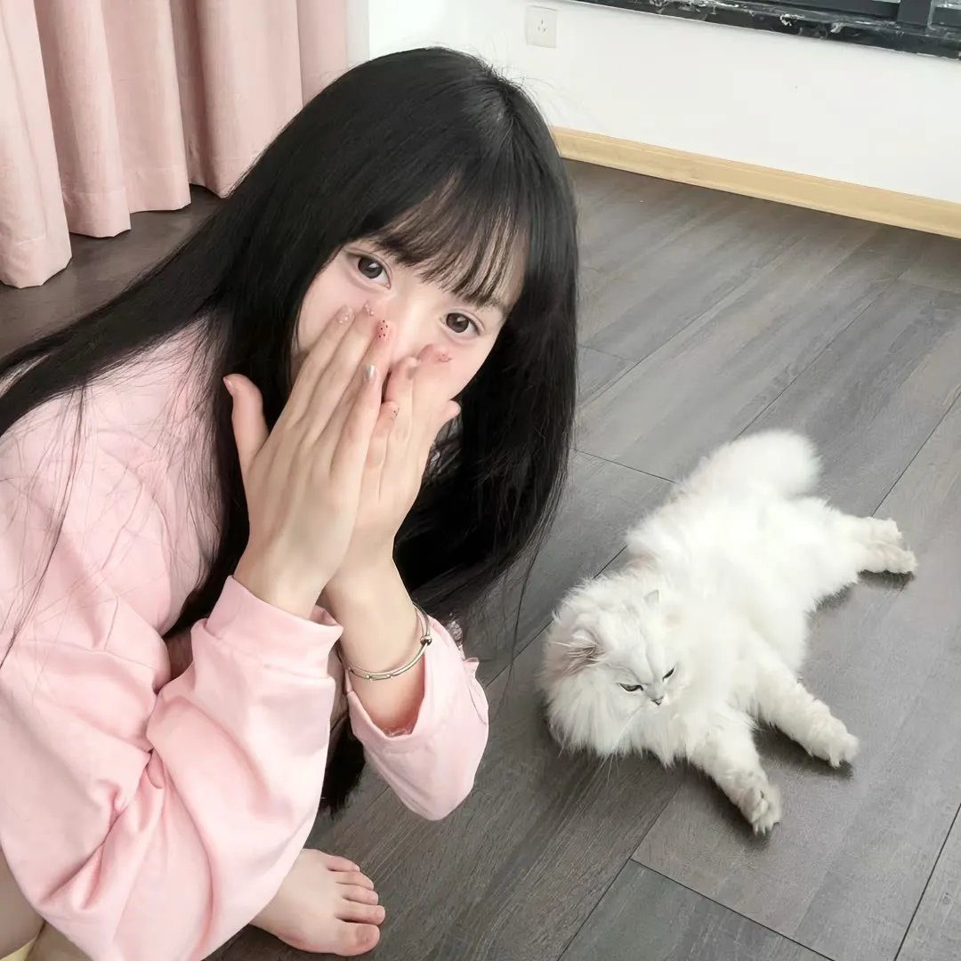 小岛奇谭